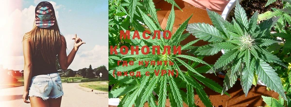 шишки Губаха