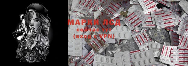 стаф Бугульма