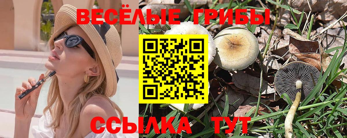 Псилоцибиновые грибы GOLDEN TEACHER Гай